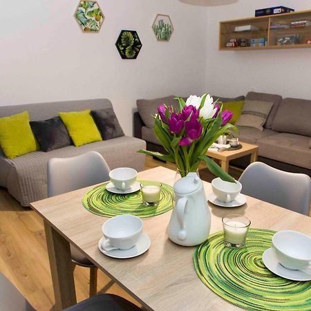 Apartament Grapa Żywiec 外观 照片