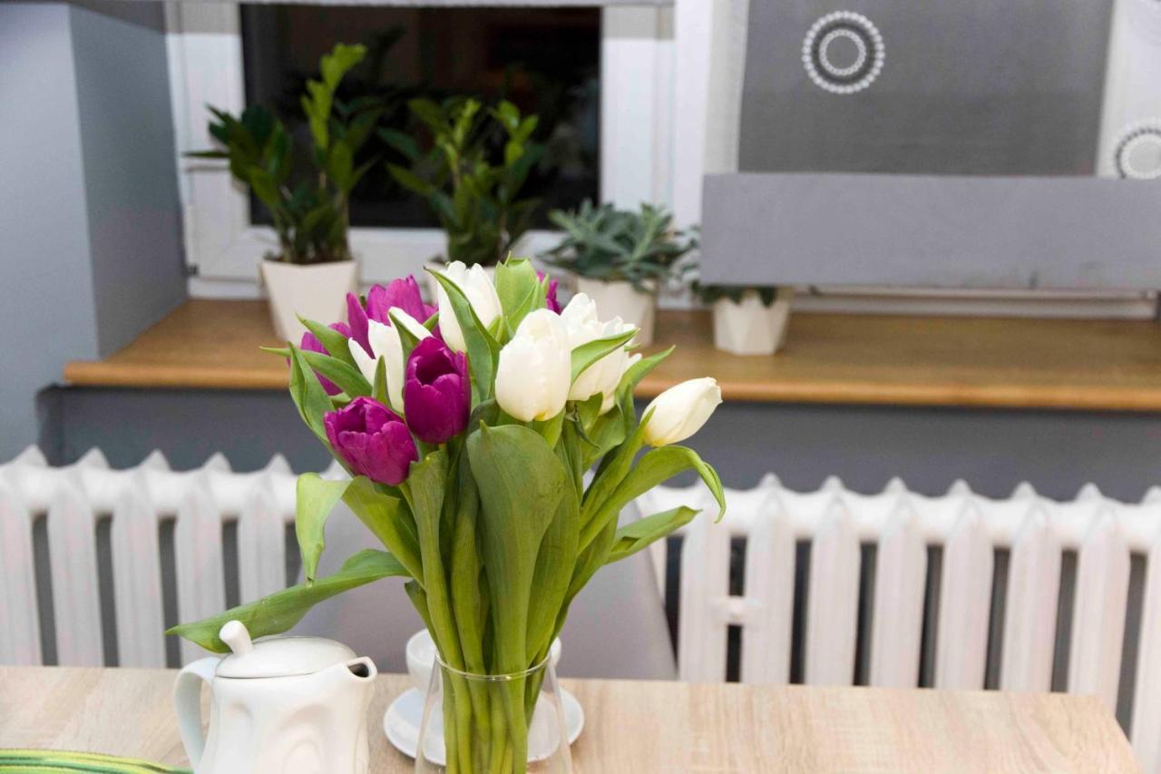 Apartament Grapa Żywiec 外观 照片